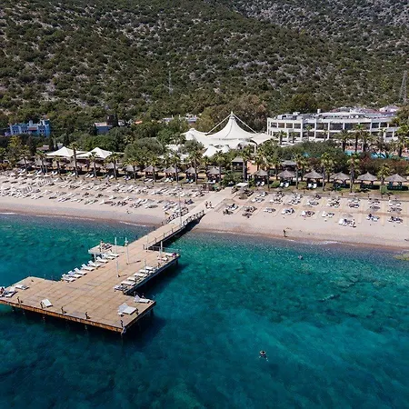 Latanya Park Yaliciftlik