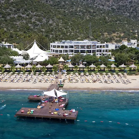 Latanya Park Feriested Yalıçiftlik