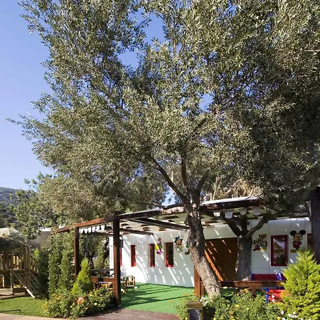 Latanya Park 4* Yalıçiftlik
