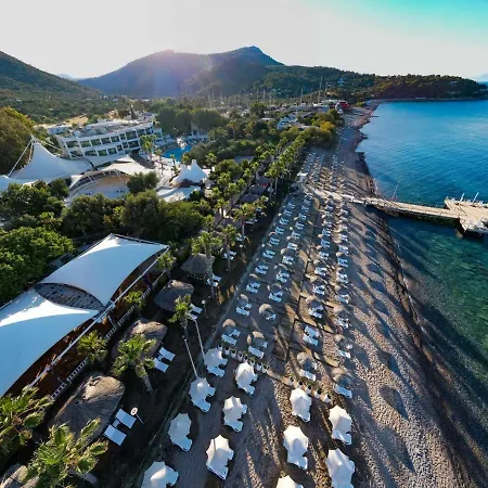 Latanya Park Ялычифтлик