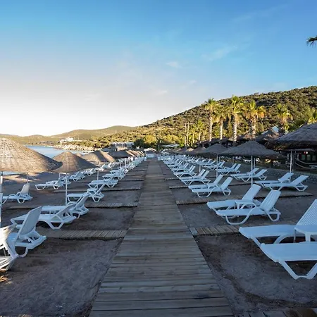 Latanya Park Complex Yaliciftlik