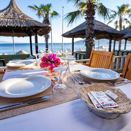 リゾート Latanya Park