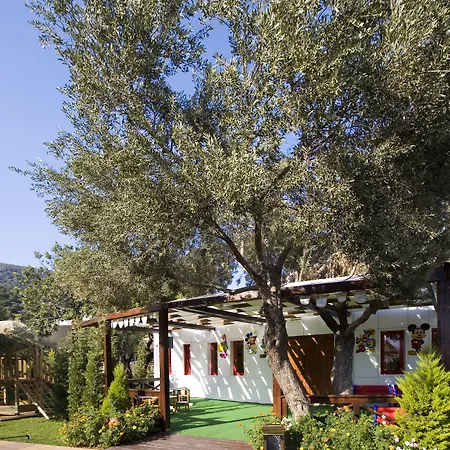 Latanya Park 4* ヤルチフテッチ