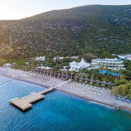 Latanya Park Feriested Yalıçiftlik