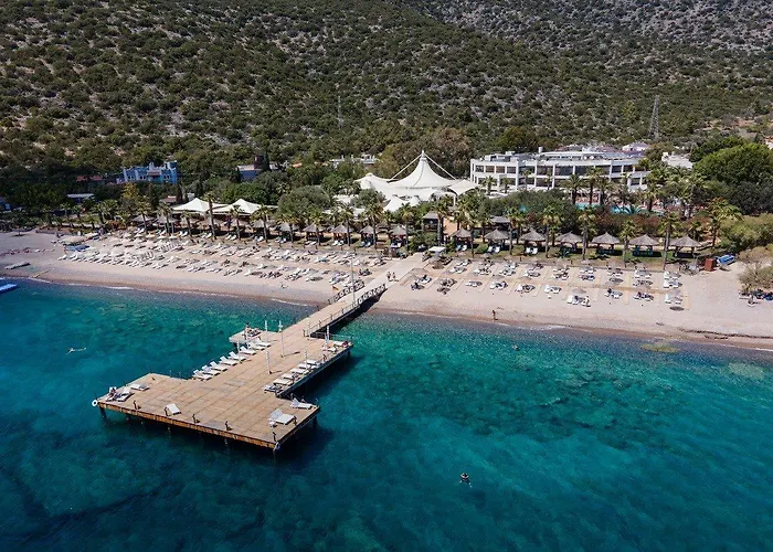 Latanya Park Yaliciftlik